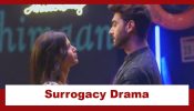 Yeh Rishta Kya Kehlata Hai Upcoming Twist: Abhira to get pregnant through surrogacy; Is Ruhi the surrogate mother? 940804